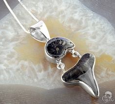 Sterling silver and megaladon tooth with ammonite pendant necklace Ammonite Pendant, Ammonite Jewelry, Megalodon Tooth, Shark Earrings, Silver Clay, Fossil Jewelry, Bling Necklace, Shark Tooth, Steampunk Jewelry