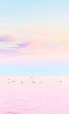 a flock of birds flying over the ocean on a cloudy day with pink and blue skies