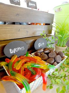 a wooden bench sitting next to a pile of candy