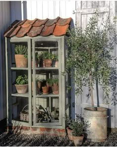 an old bookcase with potted plants in front of it and a garden shed