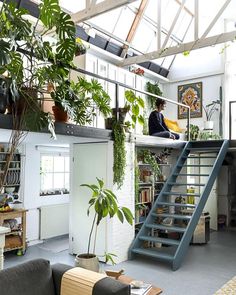 a woman sitting on top of a loft next to a plant filled living room area