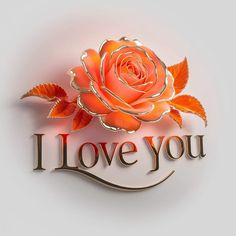 an orange rose with the words i love you on it