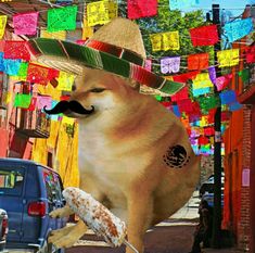 a dog wearing a sombrero and holding a donut in its mouth on the street