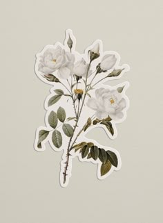 white flowers with green leaves sticker on a light gray background in the shape of a flower