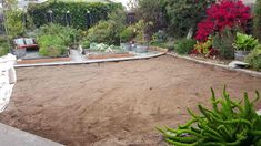 an empty backyard with lots of plants in the back ground and dirt on the ground