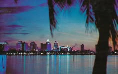 the city skyline is lit up at night, with palm trees in front of it