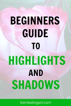 a pink rose with the words beginners guide to highlights and shadows on it's side