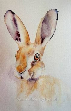 a watercolor painting of a rabbit's face and ears, with the eyes wide open