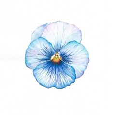 a blue flower on a white background