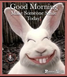 a white rabbit smiling with the words good morning make someone smile today