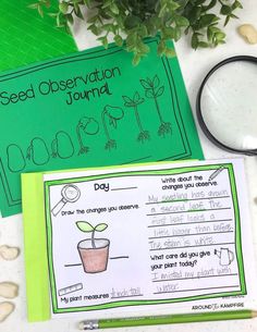 Plant Observation Journal Kindergarten, Plant Observation Journal, Seed Activities For Kids, Seed Activities, Plants Life Cycle Activities, Parts Of A Seed, Seed Science, Life Cycle Activities