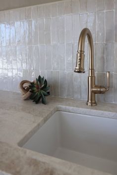 a kitchen sink with a faucet next to it and a potted plant on the counter