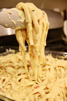 a spoon full of pasta being lifted from a casserole dish