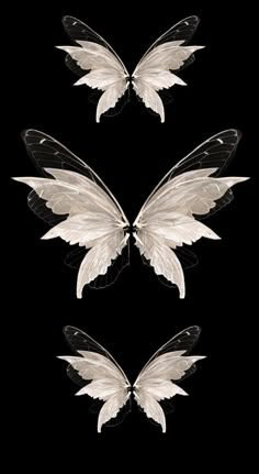 three white and black butterflies on a black background