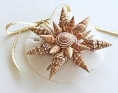 an ornament made out of seashells on a white surface