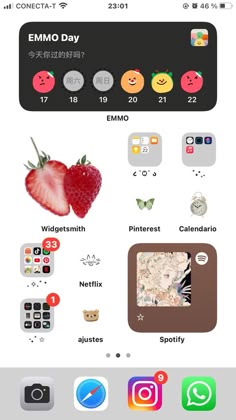 an iphone screen with the emo day theme on it and icons in different colors