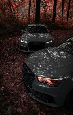 two cars are parked in the woods with red leaves