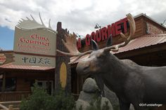 a statue of a moose in front of a restaurant