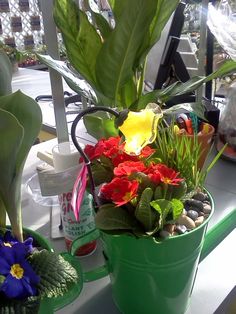 two green buckets filled with flowers and plants on top of a table next to other potted plants