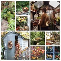 several pictures of various plants and vegetables in a garden shed, with a woman looking at them through the window