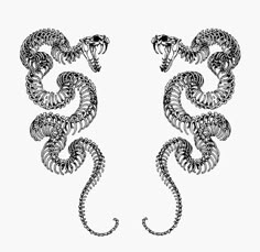 two black and white images of snakes with their tails curled up in the shape of spirals