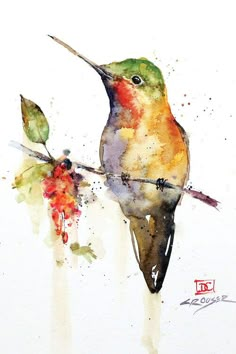 a watercolor painting of a hummingbird on a branch