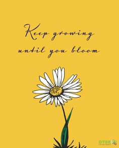 a yellow and black card with a white flower on the front saying, keep growing until you bloom