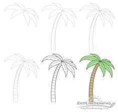 three palm trees in different stages of drawing