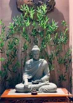 a buddha statue sitting on top of a wooden table next to a wall with plants