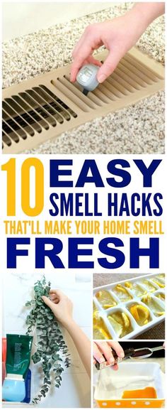 the top 10 super easy smell hacks that'll make your home smell amazing