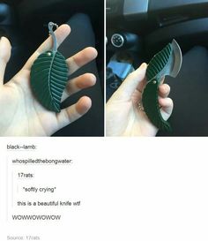 a person holding a green leaf shaped object in their left hand and another photo of the inside of a car