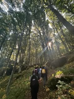 group of people hiking up a trail in the woods with sun shining through the trees