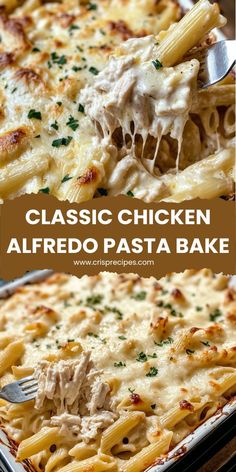 this classic chicken alfredo pasta bake is the perfect comfort for any family and it's easy to make