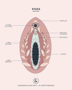 a diagram of the inside of an egg with labels on it and labeled in english