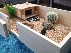 a wooden box filled with plants and rocks in the shape of a house next to a cactus