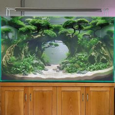 an aquarium filled with lots of green plants and trees on top of a wooden cabinet