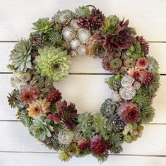 a wreath made out of succulents and pine cones on a white wall