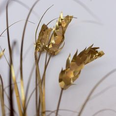 some very pretty gold colored flowers on a white surface with long stems in the foreground