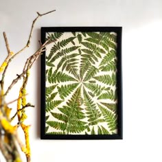 a green fern leaf is hanging on the wall next to a branch with yellow flowers