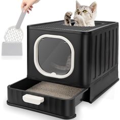 a cat is playing with its litter box