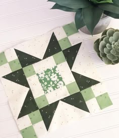 a green and white patchwork quilt next to a succulent potted plant