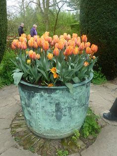 a large pot filled with lots of orange flowers