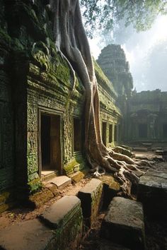 a tree growing over the top of a building with its roots on it's sides