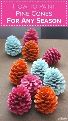 several different colored pine cones sitting on top of a table