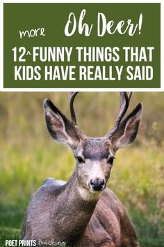 an antelope sitting in the grass with text overlay that reads, oh deer 12 funny things that kids have really said