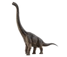 an image of a dinosaur that is walking