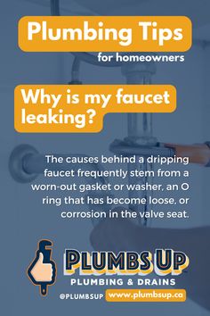 plumbing tips for homeowners info graphic by plums up plumbing and drain systems