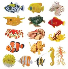 many different types of sea animals are shown in this image, including fish and seahorses