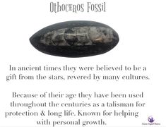 Orthoceras Fossil Meaning, Crystal Alter, Crystal Work, Crystal Uses, Sage Smudging, Charge Crystals, Gold Crystals