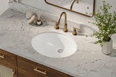 a white sink sitting on top of a bathroom counter next to a mirror and plant